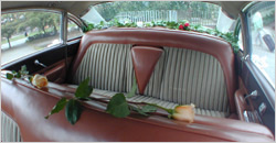 Cadillac Fleetwood 1955